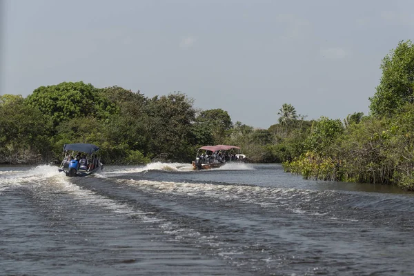 Speedboat Tourists Wild Preguia River Lenis Maranhenses Maranho Brazil — 스톡 사진
