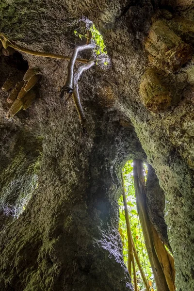 Stalactites Cave Atlantic Rainforest Lage Park Rio Janeiro Brasil — Foto de Stock