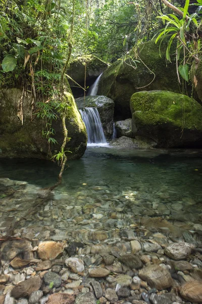 Hermoso Paisaje Piscina Río Verde Selva Atlántica Serrinha Río Janeiro — Foto de Stock