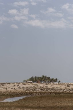 Canto do Atins, Lenis Maranhenses, Maranho, Brezilya 'daki hindistan cevizi palmiyesi vahasının manzarası 