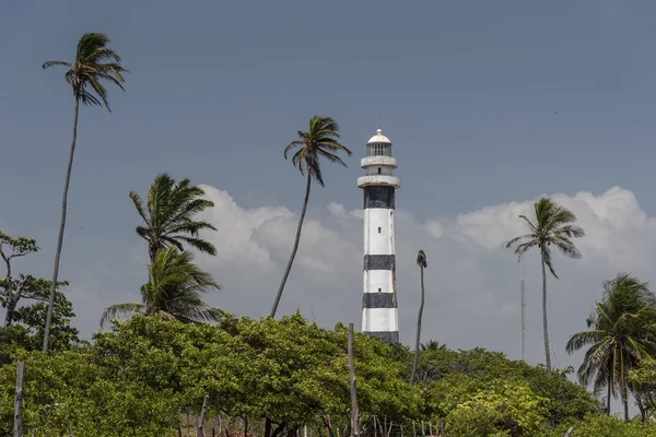 Palmeras Faro Preguia Blanco Negro Mandacaru Maranho Brasil — Foto de Stock