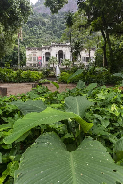 Hermosa Vista Gran Casa Antigua Paisaje Selva Tropical Atlántica Lage — Foto de Stock