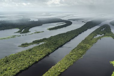 Anavilhanas, Amazonlar, Brezilya 'nın Negro River yeşil Amazon adası takımadalarına güzel bir hava manzarası