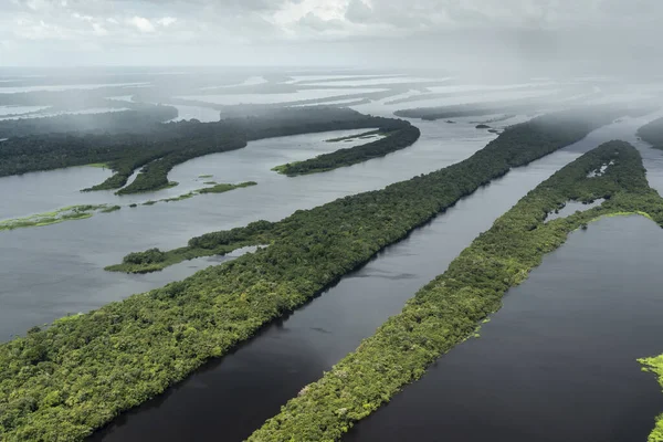 ブラジル アマゾナス州アナヴィラスのネグロ川緑のアマゾン島諸島への美しい空の景色 — ストック写真