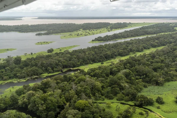 Bela Vista Aérea Para Floresta Tropical Inundada Verde Rio Amazônia — Fotografia de Stock