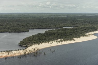 Manaus, Amazonlar, Brezilya yakınlarındaki Amazon 'da sel basmış yeşil yağmur ormanlarına ve nehir plajlarına güzel hava manzarası