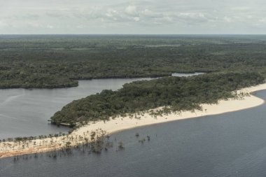 Beautiful aerial view to green flooded rainforest and river beaches in the Amazon near Manaus, Amazonas, Brazil clipart