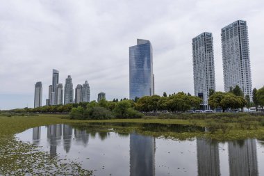 Porto Madero, Buenos Aires, Arjantin 'deki yeşil ekolojik alandan modern binalara güzel manzara