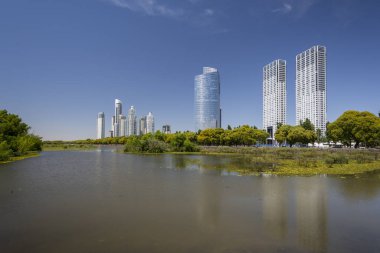 Porto Madero, Buenos Aires, Arjantin 'deki yeşil ekolojik alandan modern binalara güzel manzara