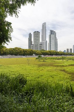 Porto Madero, Buenos Aires, Arjantin 'deki yeşil ekolojik alandan modern binalara güzel manzara