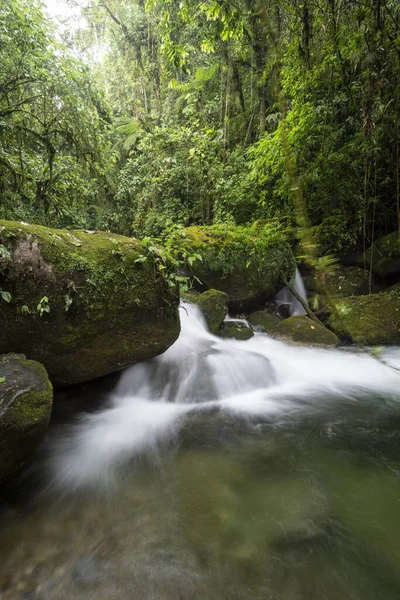 Чудовий Вигляд Зелену Атлантичну Ріку Дощового Лісу Горах Мантікейра Ріо — стокове фото