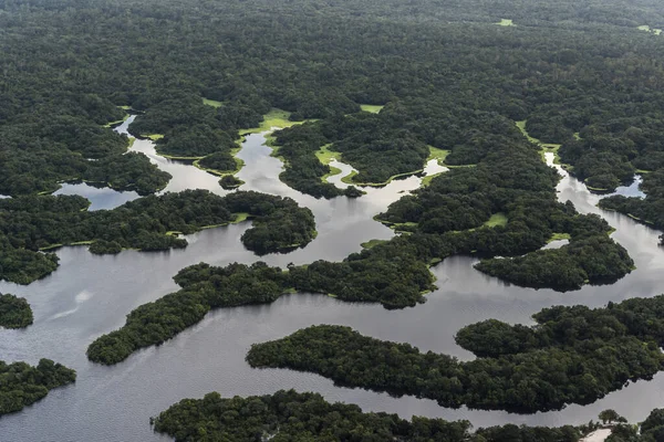 Vacker Antenn Utsikt Över Översvämmade Regnskog Och Floden Amazonas Nära — Stockfoto