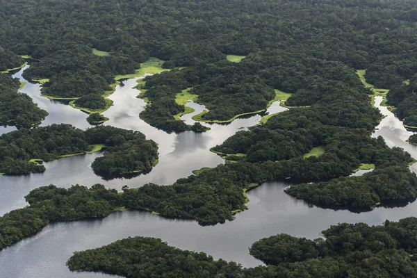 Hermosa Vista Aérea Selva Tropical Inundada Río Amazonas Cerca Manaus — Foto de Stock