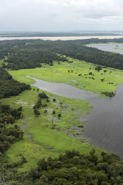 Bela Vista Aérea Para Floresta Tropical Inundada Verde Rio Amazônia — Fotografia de Stock