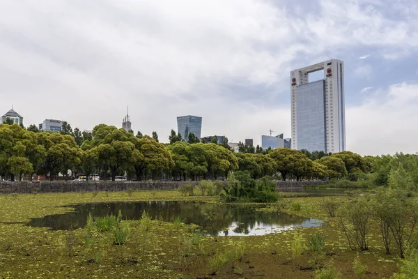 Beautiful View Modern Buildings Seen Green Ecological Area Puerto Madero — Stock Photo, Image