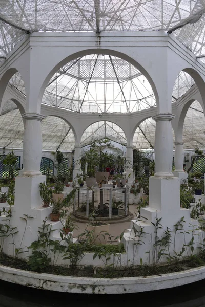 Interiör Orkidéväxthus Regnskogen Botaniska Trädgården Rio Janeiro Brasilien — Stockfoto