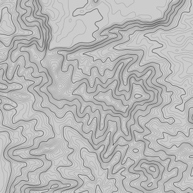 Kopyalamak için alanı olan topografik harita arkaplanı. Çizgi topoğrafya haritası arka plan, coğrafi ızgara soyut vektör çizimi. Arazi üzerinde dağ yürüyüşü patikası .