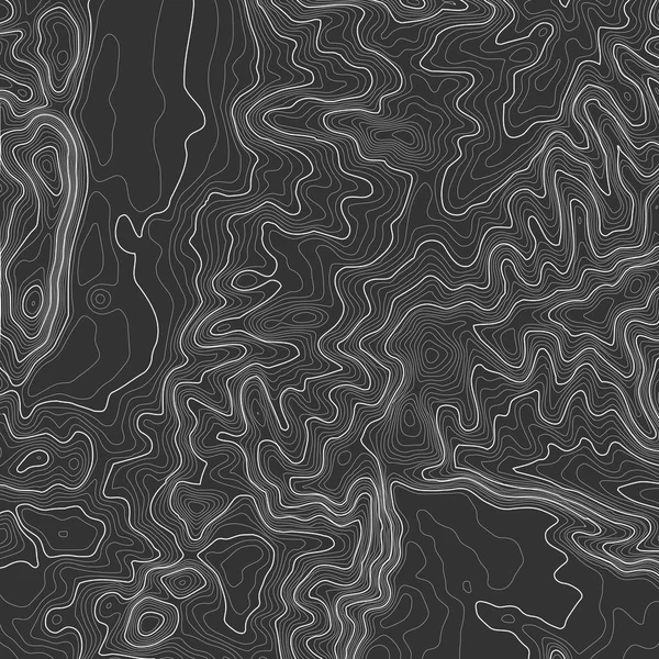 Topografische kaart achtergrond met ruimte voor kopie. Lijntopografie kaartcontourachtergrond, geografisch raster abstracte vectorillustratie. Bergwandelpad over terrein . — Stockvector