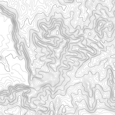 Kopyalamak için alanı olan topografik harita arkaplanı. Çizgi topoğrafya haritası arka plan, coğrafi ızgara soyut vektör çizimi. Arazi üzerinde dağ yürüyüşü patikası .