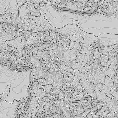 Kopyalamak için alanı olan topografik harita arkaplanı. Çizgi topoğrafya haritası arka plan, coğrafi ızgara soyut vektör çizimi. Arazi üzerinde dağ yürüyüşü patikası .