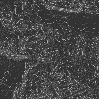 Kopyalamak için alanı olan topografik harita arkaplanı. Çizgi topoğrafya haritası arka plan, coğrafi ızgara soyut vektör çizimi. Arazi üzerinde dağ yürüyüşü patikası .