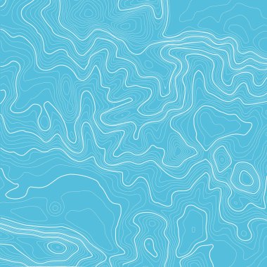 Kopyalamak için alanı olan topografik harita arkaplanı. Çizgi topoğrafya haritası arka plan, coğrafi ızgara soyut vektör çizimi. Arazi üzerinde dağ yürüyüşü patikası .