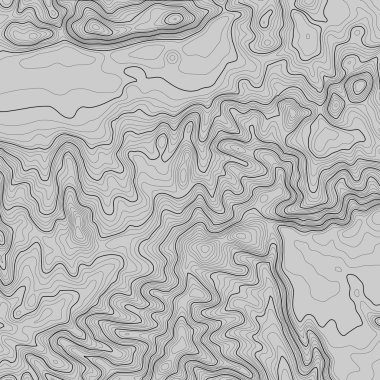 Kopyalamak için alanı olan topografik harita arkaplanı. Çizgi topoğrafya haritası arka plan, coğrafi ızgara soyut vektör çizimi. Arazi üzerinde dağ yürüyüşü patikası .