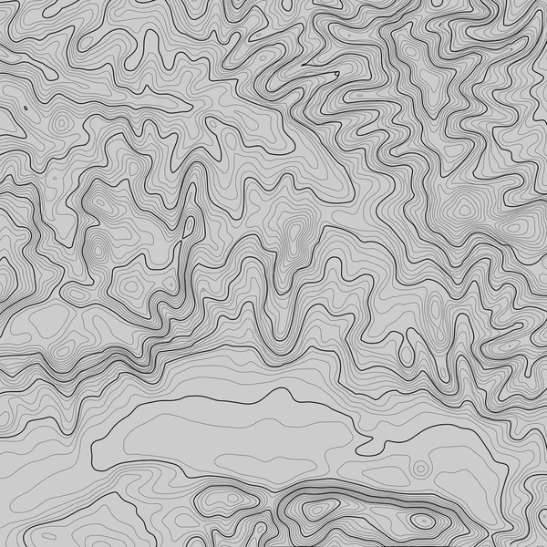 Kopyalamak için alanı olan topografik harita arkaplanı. Çizgi topoğrafya haritası arka plan, coğrafi ızgara soyut vektör çizimi. Arazi üzerinde dağ yürüyüşü patikası . — Stok Vektör