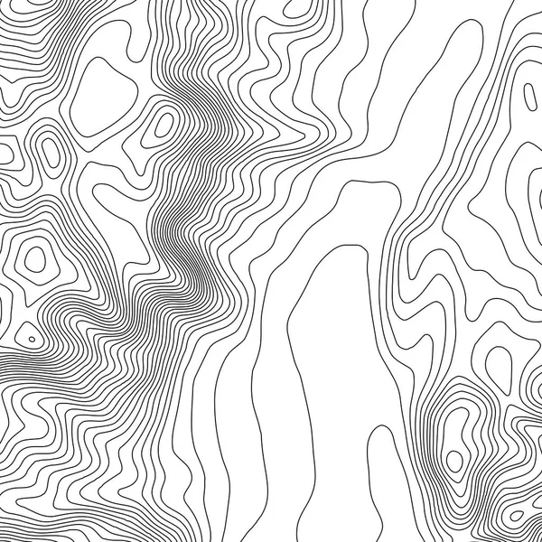 De achtergrond van de topografische kaart met ruimte voor de kopie. Lijn topografie kaart contour achtergrond, geografische raster abstract vectorillustratie. Abstracte geometrische lijnen . — Stockvector