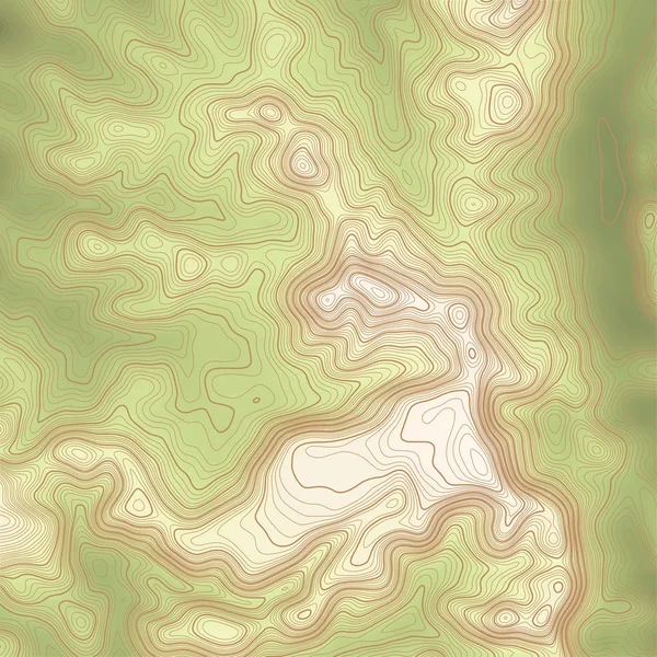 Fondo de mapa topográfico con espacio para copia. Línea topografía mapa contorno fondo, cuadrícula geográfica abstracta vector ilustración. Líneas geométricas abstractas  . — Archivo Imágenes Vectoriales