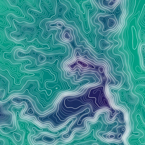 Mapa topográfico de fundo com espaço para cópia. Linha topografia mapa contorno fundo, grade geográfica ilustração vetor abstrato. Linhas geométricas abstratas  . — Vetor de Stock