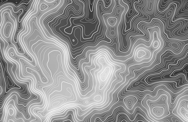 Topographic map background with space for copy . Line topography map contour background , geographic grid abstract vector illustration . Abstract geometric lines .