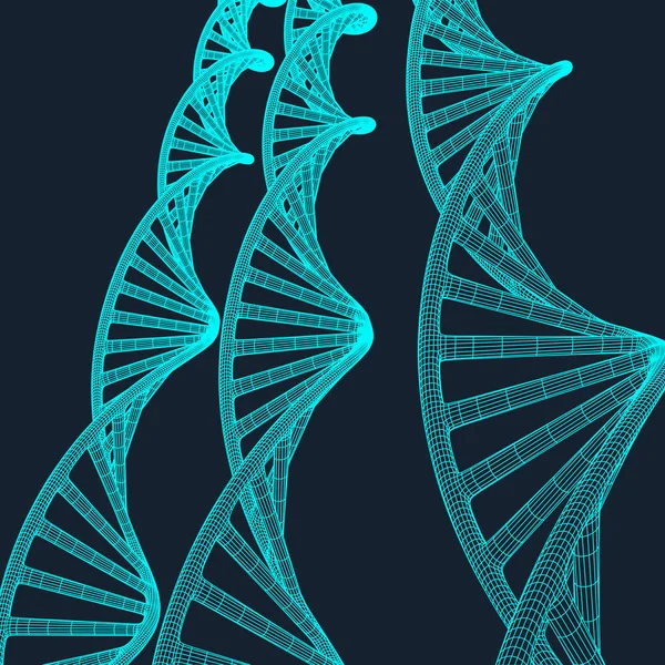 Grå Dna med polygon linje på blå bakgrund. Polygonal utrymme låg poly med ansluta prickar och linjer. Anslutning struktur. Vector vetenskap bakgrund. — Stock vektor