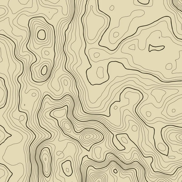Topografische kaart achtergrond concept met ruimte voor uw exemplaar. Topografie lijnen kunst contour, berg wandelweg, vorm design. Computer gegenereerde  . — Stockfoto