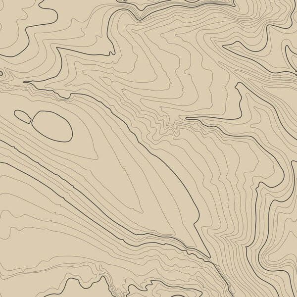 Topographic map background concept with space for your copy. Topography lines art contour , mountain hiking trail , Shape vector design. Computer generated   .