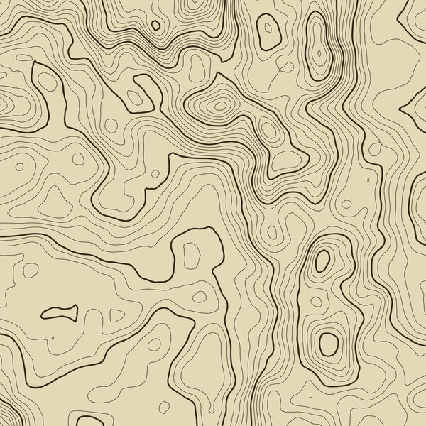 Topographic map background concept with space for your copy. Topography lines art contour , mountain hiking trail , Shape vector design. Computer generated   .