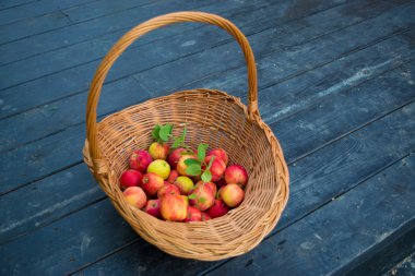 Nane fışkın ile hasır sepet elma