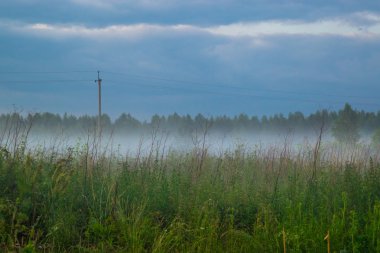 Sis altında çayır kırsal manzara Rusya