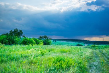 Fırtına gökyüzü altında bir yaz çayır 