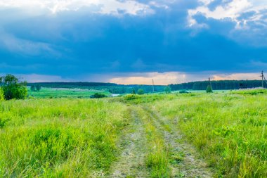 Fırtına gökyüzü altında bir yaz çayır 