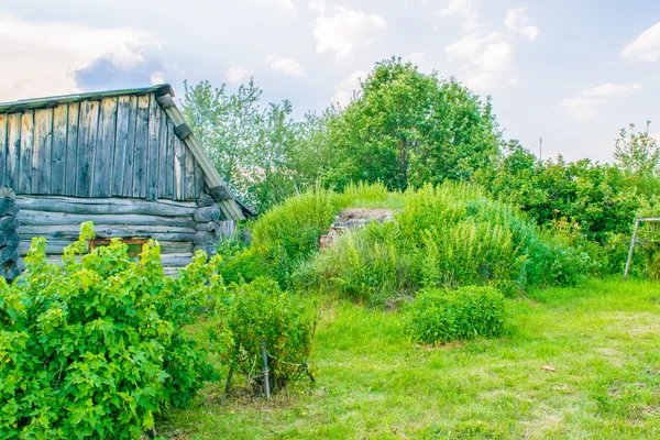Traditioneel Russisch dorp tuin — Stockfoto