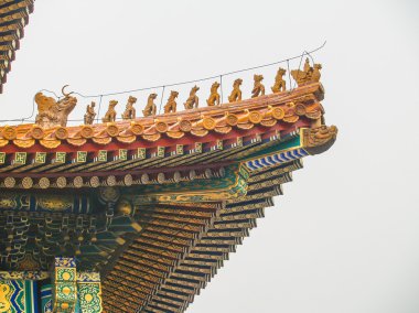 Yasak Şehir Beijing, Çin çatılar