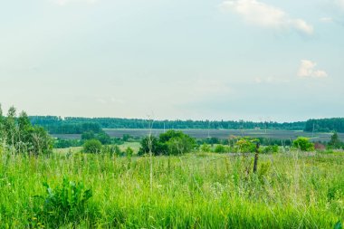Rus çayır genişlik ruhu