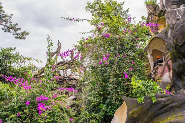 Bouganvillea fioritura intorno a Crazy House — Foto Stock