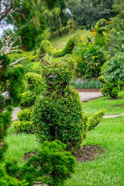 Peyzaj tasarımı şekil ile bush loping