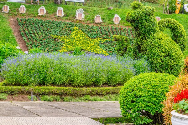 Projeto de paisagem com figura loping de arbustos e canteiro de flores com uma estrela — Fotografia de Stock