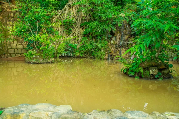 Peyzaj tasarımı Asya tarzı bir parçası olarak bir parkta gölet