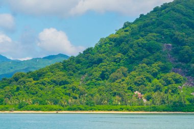 Taş deniz kıyısında bir Cennet Adası'nda