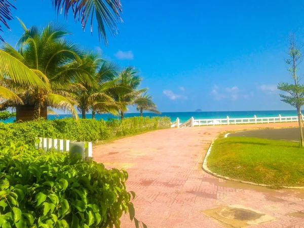 Césped con palmeras y camino pavimentado cerca de una playa tropical, Bahía de Nha Trang, Vietnam — Foto de Stock