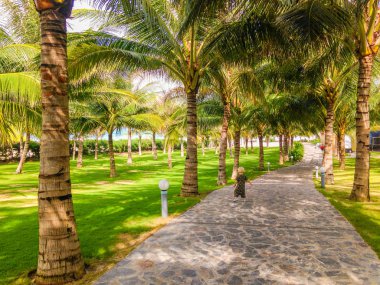 Avuç içi ve bakımlı çim ile tropikal tatil yola
